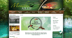 Desktop Screenshot of mouches-abfly.com